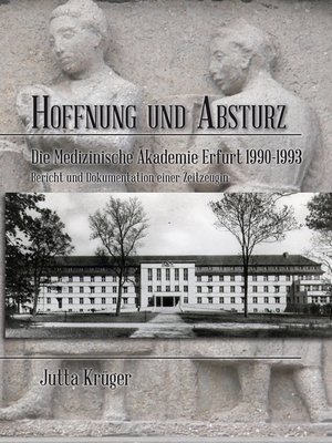 cover image of Hoffnung und Absturz